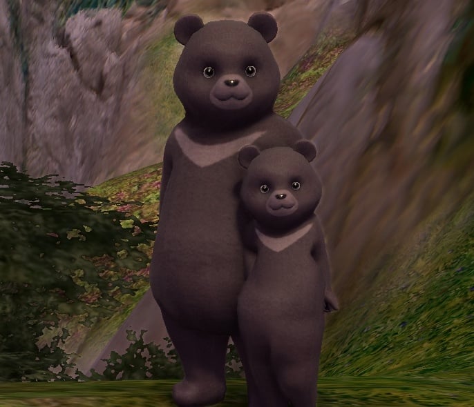 Wise Himalayan Teddy Form Candy - 160020528